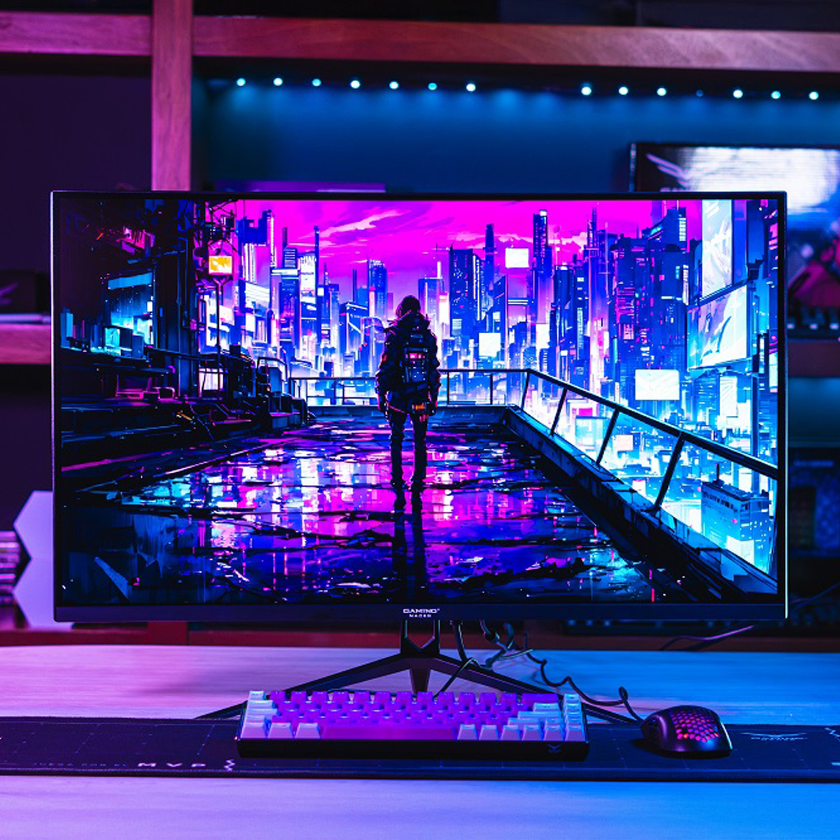 TechsmartIMG